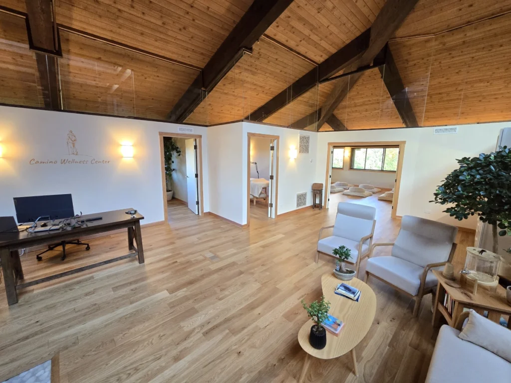 Camino Wellness Center Space 1024x768