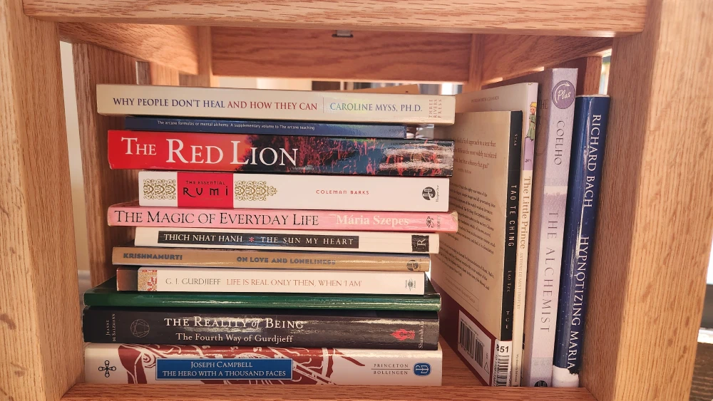 What We Read Shelf